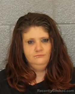 Mugshot of ASHLEY BEVERLY STANTON booked in Mecklenburg County, North Carolina on March 28, 2026