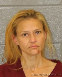 Mugshot of HEATHER ANN LENNON booked in Mecklenburg County, North Carolina on March 29, 2026