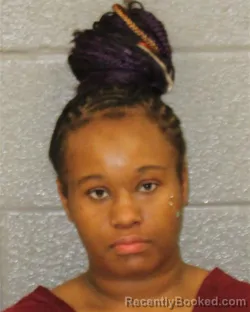 Mugshot of TAHAJHA ZYRETHA WILCOX booked in Mecklenburg County, North Carolina on March 30, 2026