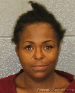 Mugshot of SHAYLA LEIGH TAYLOR booked in Mecklenburg County, North Carolina on March 31, 2026