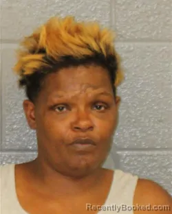 Mugshot of LAKISHA DAWN SAUNDERS booked in Mecklenburg County, North Carolina on March 31, 2026