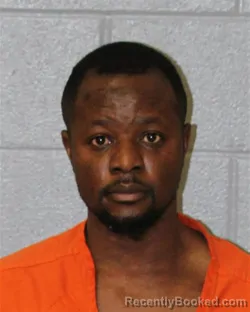 Mugshot of NZUZI ASHLEY NKESO booked in Mecklenburg County, North Carolina on April 1, 2026