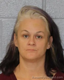 Mugshot of ALYSSA NICOLE JANKURA booked in Mecklenburg County, North Carolina on March 26, 2026