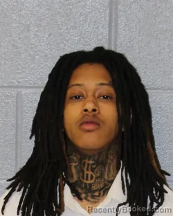 Mugshot of AMILLIYON DEARBORN BLACK-LAWE booked in Mecklenburg County, North Carolina on April 2, 2026