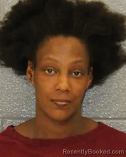 Mugshot of ANDREA ELAINE MCNEIL booked in Mecklenburg County, North Carolina on April 2, 2026