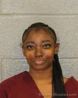 Mugshot of TANAEZAH MICHELLE AUSTIN booked in Mecklenburg County, North Carolina on April 3, 2026