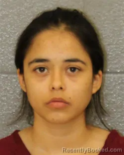 Mugshot of BRISSA MAKENA CACERES booked in Mecklenburg County, North Carolina on April 3, 2026