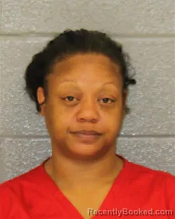 Mugshot of DANA KENYATTA JAMES booked in Mecklenburg County, North Carolina on April 4, 2026