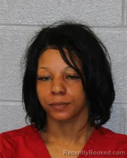 Mugshot of LAURA DEANNA JAMES booked in Mecklenburg County, North Carolina on April 4, 2026