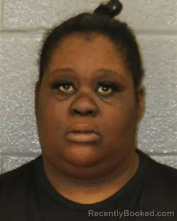 Mugshot of DOROTHY BERRY booked in Mecklenburg County, North Carolina on April 4, 2026