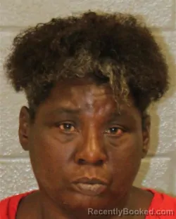 Mugshot of NICOLE TRAVIS GASTON booked in Mecklenburg County, North Carolina on April 4, 2026