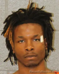 Mugshot of ARVETRA RAYMEL PICKETT booked in Mecklenburg County, North Carolina on April 5, 2026