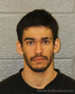 Mugshot of WILLIAM ALEXAND PINEDA booked in Mecklenburg County, North Carolina on April 5, 2026