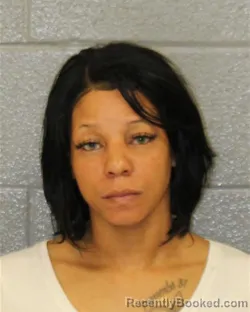 Mugshot of LAURA DEANNA JAMES booked in Mecklenburg County, North Carolina on April 5, 2026