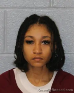 Mugshot of ANJIL CEON LANE-ALLEN booked in Mecklenburg County, North Carolina on March 24, 2026