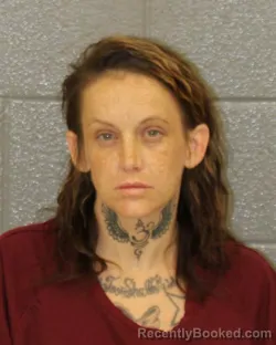 Mugshot of AUDREY NICOLE WILBANKS booked in Mecklenburg County, North Carolina on April 25, 2026