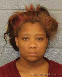 Mugshot of MARY BEA MCLENDON booked in Mecklenburg County, North Carolina on April 24, 2026