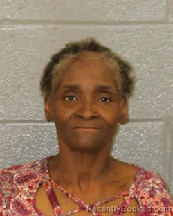 Mugshot of JOANNA J PARTLOW booked in Mecklenburg County, North Carolina on May 18, 2026