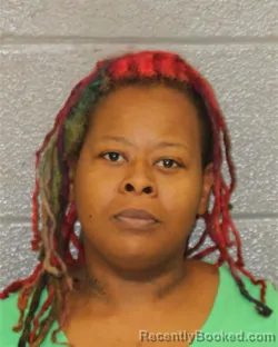 Mugshot of EBONY NICHOL JOHNSON booked in Mecklenburg County, North Carolina on May 19, 2026