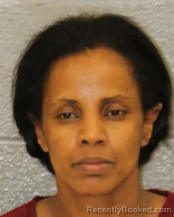 Mugshot of ROZINA WOLDESLASE booked in Mecklenburg County, North Carolina on May 20, 2026