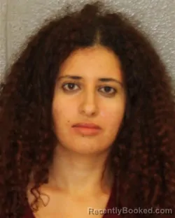 Mugshot of MAHRAIEL HANNA booked in Mecklenburg County, North Carolina on May 23, 2026