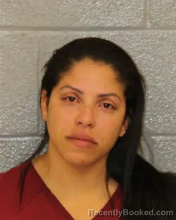 Mugshot of MARIA VICTORIA KINDELAN-POLANCO booked in Mecklenburg County, North Carolina on May 27, 2026