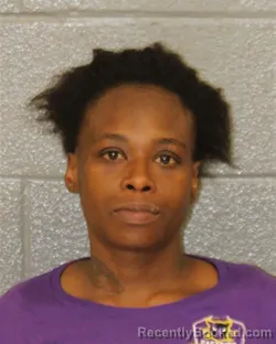 Mugshot of BIANCA SHEREE JAMES booked in Mecklenburg County, North Carolina on May 28, 2026
