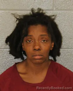 Mugshot of VERONIQUE MARY JOHNSON booked in Mecklenburg County, North Carolina on May 28, 2026
