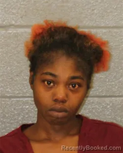 Mugshot of LANIYAH PAUL booked in Mecklenburg County, North Carolina on May 31, 2026