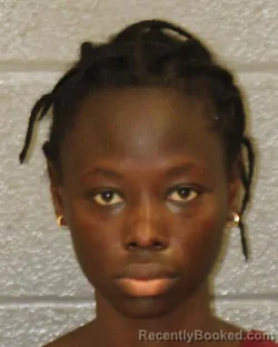 Mugshot of NDEYE BETTY DIOP booked in Mecklenburg County, North Carolina on June 2, 2026