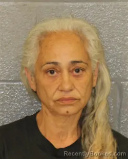 Mugshot of GRECIA MILAGROS ESCANELLAS-VILELLA booked in Mecklenburg County, North Carolina on June 4, 2026