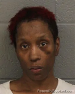 Mugshot of ALEXIS NOCILE-DORSEY MARION booked in Mecklenburg County, North Carolina on June 4, 2026