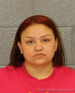 Mugshot of MARIA DE LOS ANGELES MEJIA-PONCE booked in Mecklenburg County, North Carolina on June 4, 2026