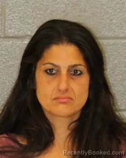 Mugshot of ALEV SIDIKA ATAC booked in Mecklenburg County, North Carolina on June 4, 2026
