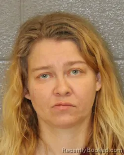 Mugshot of BRANDI LEIGHA MCCAUSLIN booked in Mecklenburg County, North Carolina on June 6, 2026