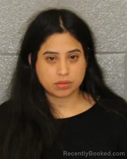 Mugshot of MONICA RAMOS booked in Mecklenburg County, North Carolina on June 7, 2026