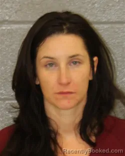 Mugshot of JOHANNA SILVERS booked in Mecklenburg County, North Carolina on June 7, 2026