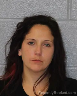 Mugshot of CHEYANNE NICHOLE PHIFER booked in Mecklenburg County, North Carolina on June 8, 2026