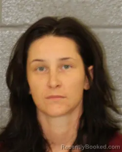 Mugshot of JOHANNA ERIN SILVERS booked in Mecklenburg County, North Carolina on June 7, 2026