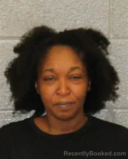 Mugshot of PAMELA SHAVONNE MERRITT booked in Mecklenburg County, North Carolina on June 10, 2026