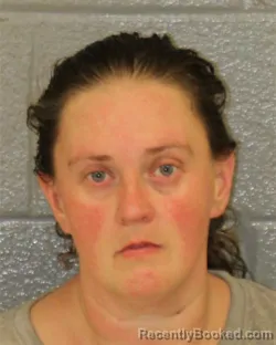 Mugshot of ANNALEE DARE HARDIN booked in Mecklenburg County, North Carolina on June 10, 2026