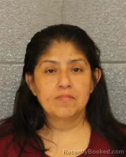 Mugshot of BRENDA DELCARMEN-LOPEZ booked in Mecklenburg County, North Carolina on June 11, 2026
