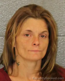 Mugshot of ELIZABETH ALLYN WRIGHT booked in Mecklenburg County, North Carolina on June 11, 2026