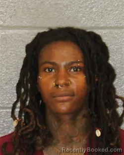 Mugshot of FALYN GRACE LANIAH-ALEXIS booked in Mecklenburg County, North Carolina on June 13, 2026