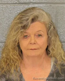 Mugshot of DONNA KAY GILL booked in Mecklenburg County, North Carolina on June 16, 2026