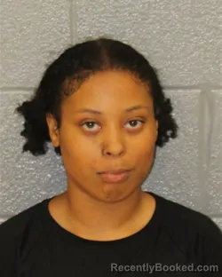 Mugshot of KASHAY DORMAN WILLIAMS booked in Mecklenburg County, North Carolina on June 30, 2026