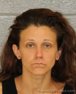Mugshot of ANDREA LYNN HOLLAND booked in Mecklenburg County, North Carolina on July 1, 2026