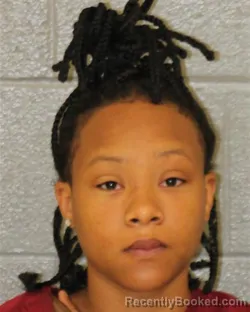 Mugshot of JORDAN MARIE WILLIAMS booked in Mecklenburg County, North Carolina on July 2, 2026