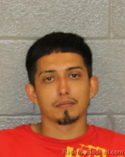 Mugshot of Alisson Chicas-Aguilar