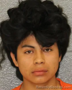 Mugshot of Miguel Ramirez-Ramirez